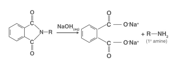 Gabriel synthesis for primary amines