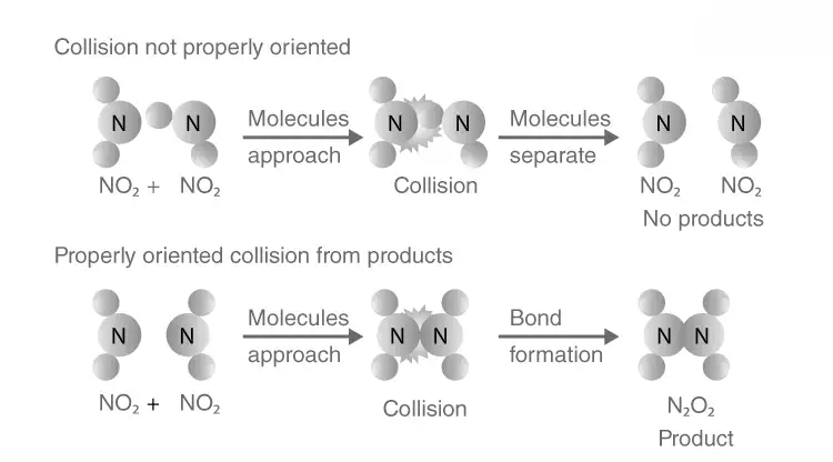 Image from analysis Uploaded image analysis