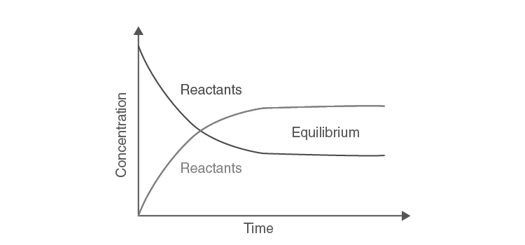 Graph showing concentration vs time reaching equilibrium