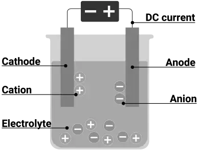 Image from analysis Uploaded image analysis