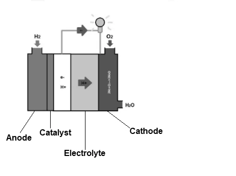 Diagram of a Hydrogen Fuel Cell