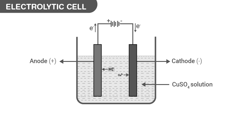 Electrolytic cell showing copper sulfate solution and ion migration