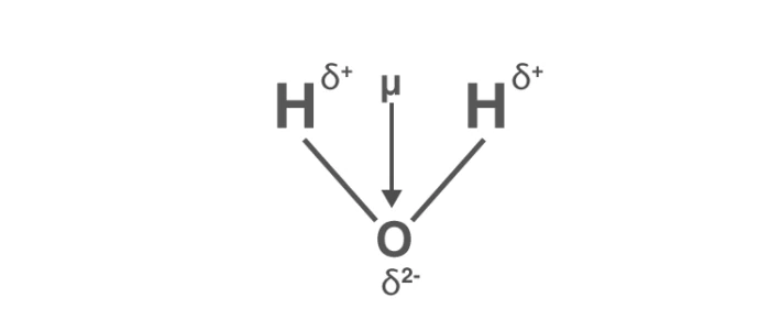 Dipole moment vectors in bent H2O molecule showing net dipole