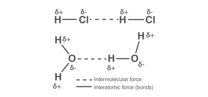 Diagram illustrating various types of intermolecular forces