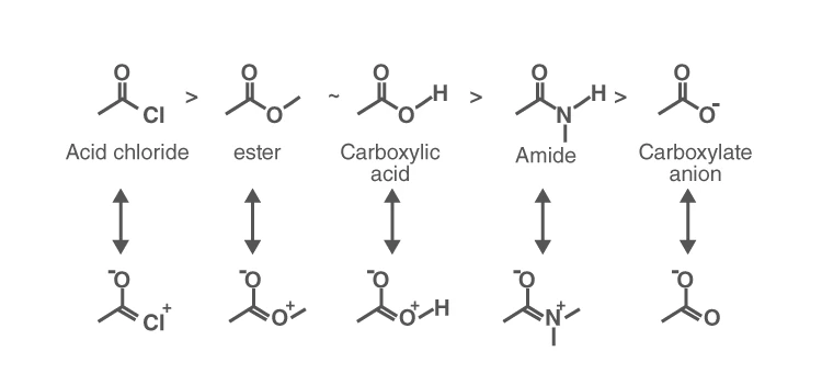 Various Resonance Structures of Functional Groups