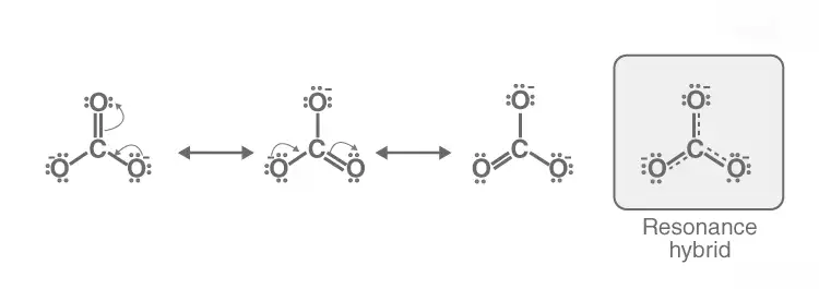 Image from analysis Uploaded image analysis