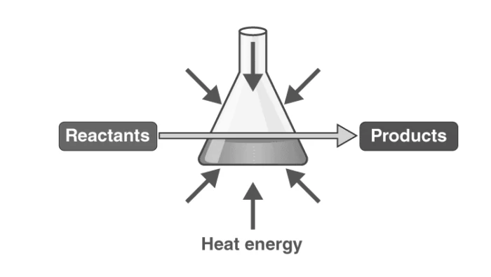 Illustration of an Endothermic Reaction