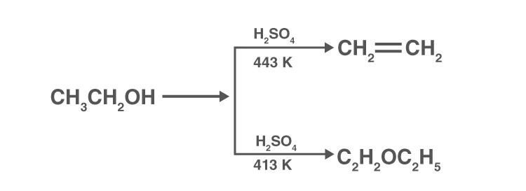 Dehydration of ethanol to form diethyl ether