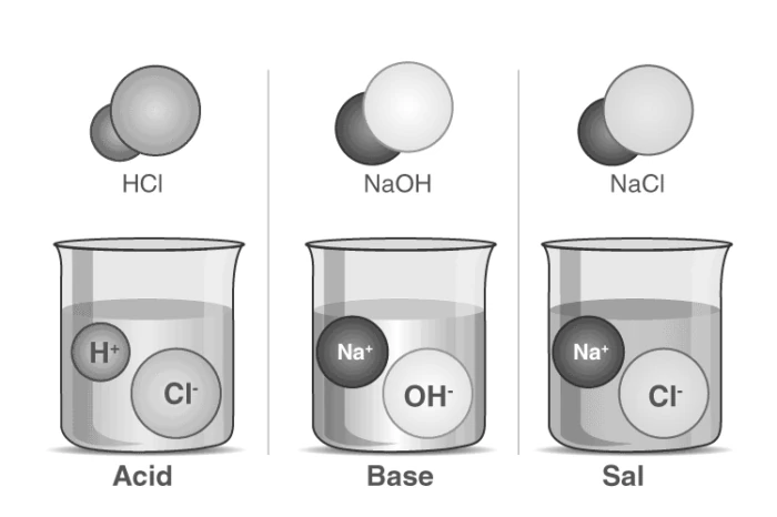 Illustration of Acids, Bases, and Salts