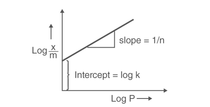 Graph showing Freundlich isotherm curve