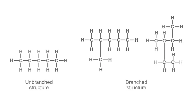Image from analysis Uploaded image analysis