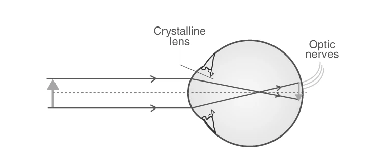 Diagram illustrating spherical lenses