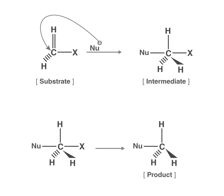 SN2 reaction mechanism showing backside attack and inversion