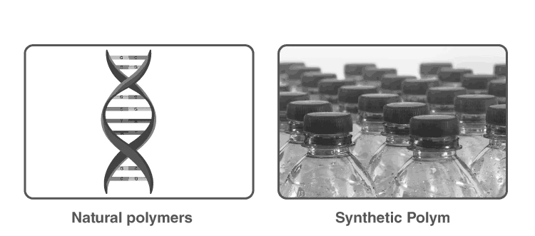 Polymer chain structure illustration