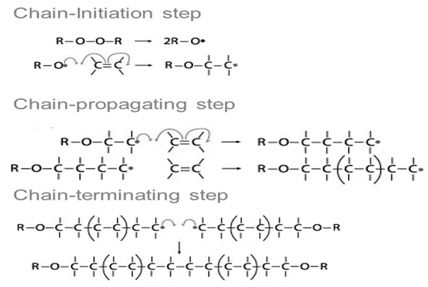 Free Radical Polymerization Steps