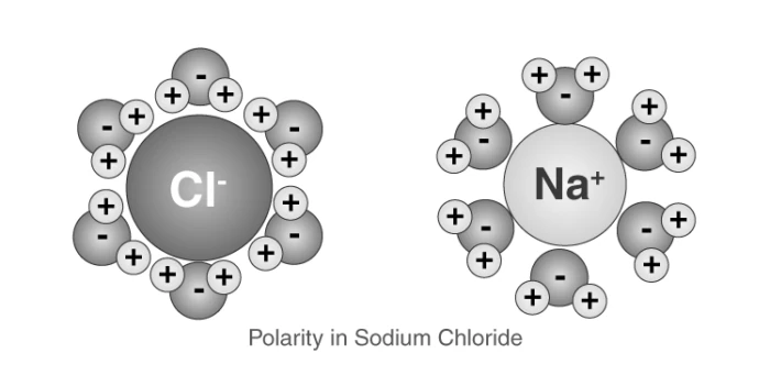 Illustration of molecular polarity with charge distribution