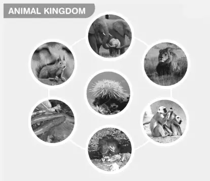 Image from analysis Uploaded image analysis