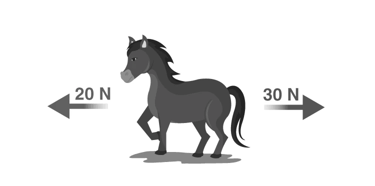 Horse pulling with two opposing forces
