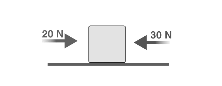Block with forces acting in opposite directions
