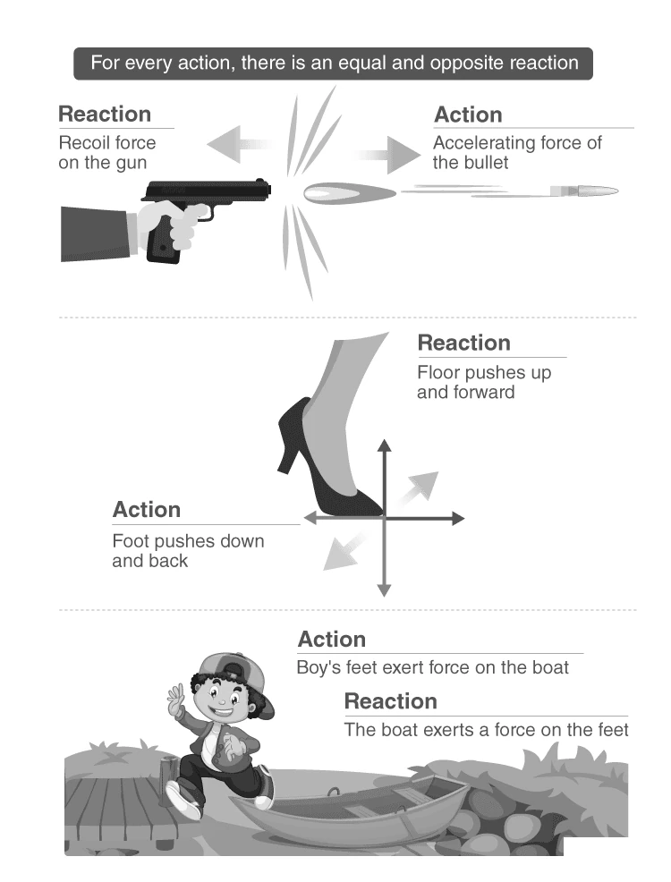 Illustration of Newton's Third Law of Motion