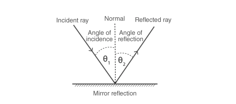 Diagram illustrating the laws of reflection with incident and reflected rays and normal line