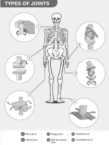 Image from analysis Uploaded image analysis