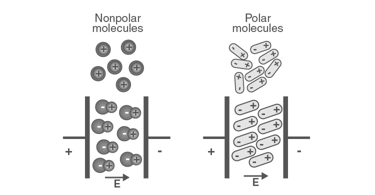 Polar and non-polar molecules in electric field