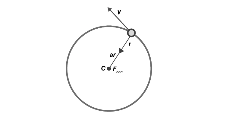 Diagram showing centripetal force directed towards the center of circular motion