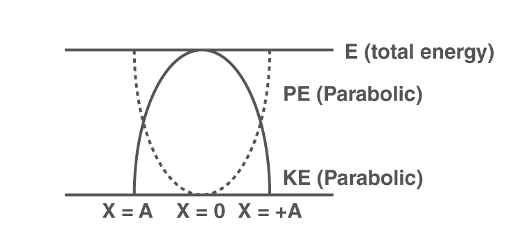 Energy variation with displacement in simple harmonic motion