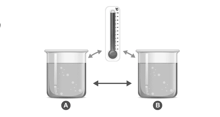 Demonstration of Zeroth Law with cups and thermometer