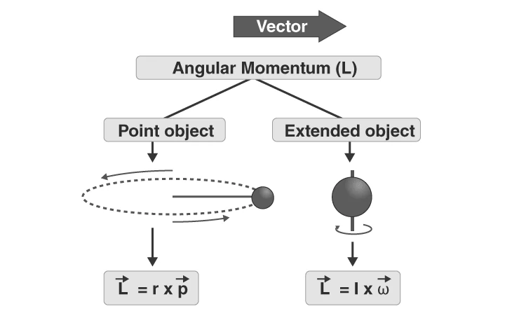 Angular Momentum Formula illustration