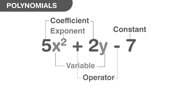 Illustration of polynomial terms and variables