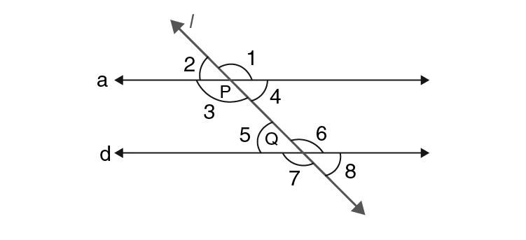 Parallel lines a and d cut by transversal l showing angle pairs