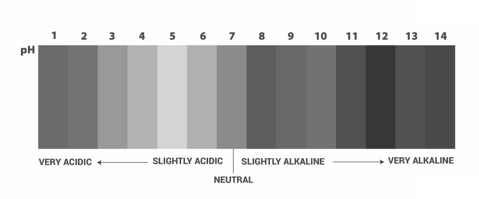 pH scale showing acidic and basic regions