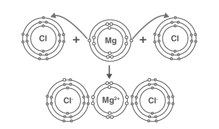 Various ionic compounds illustrating solubility and conductivity properties
