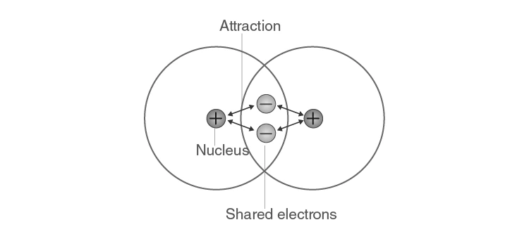 Illustration of covalent bond formation