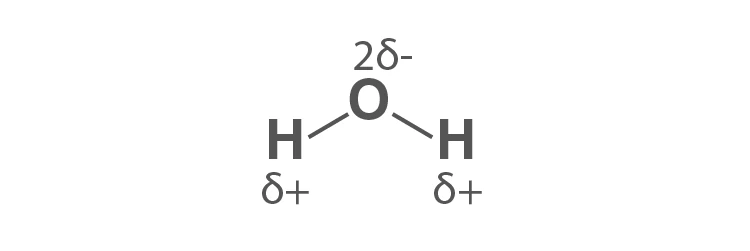 Polar covalent bond in water molecule