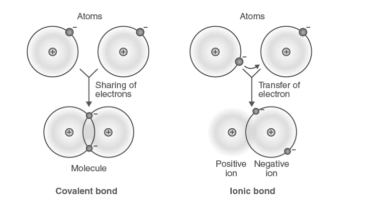Comparison of covalent and ionic bonds