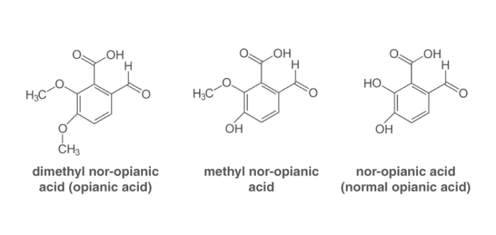 Examples of Homologous Series in Organic Chemistry