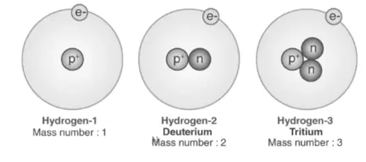 Uploaded image analysis