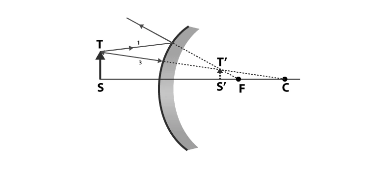 Ray diagram for object at finite distance in convex mirror