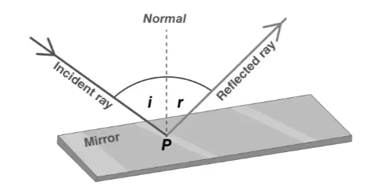 Image from analysis Uploaded image analysis