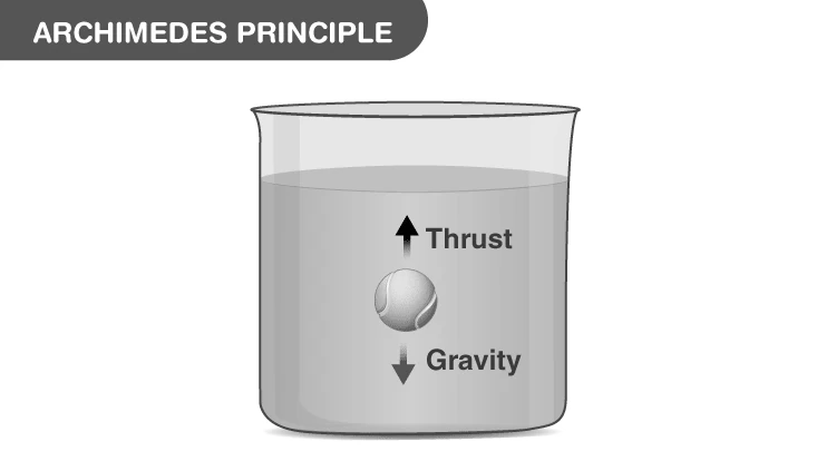 Illustration of Archimedes Principle showing forces on submerged object
