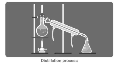 Image from analysis Uploaded image analysis