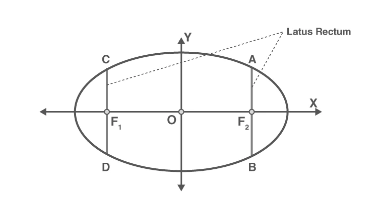 Ellipse showing latus rectum