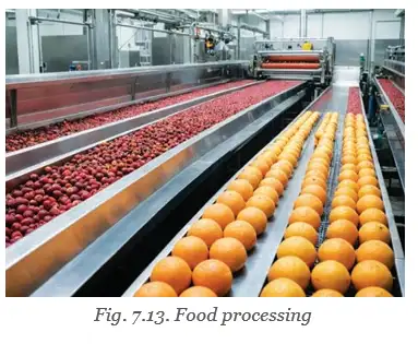 Fruit processing line