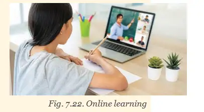 Student in online class
