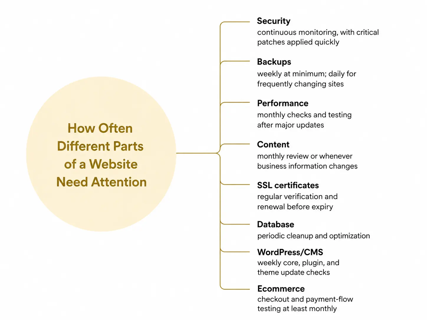 Infographic showing how often different parts of a website need maintenance, including security monitoring, backups, performance checks, content reviews, SSL renewal, database cleanup, CMS updates, and ecommerce testing.