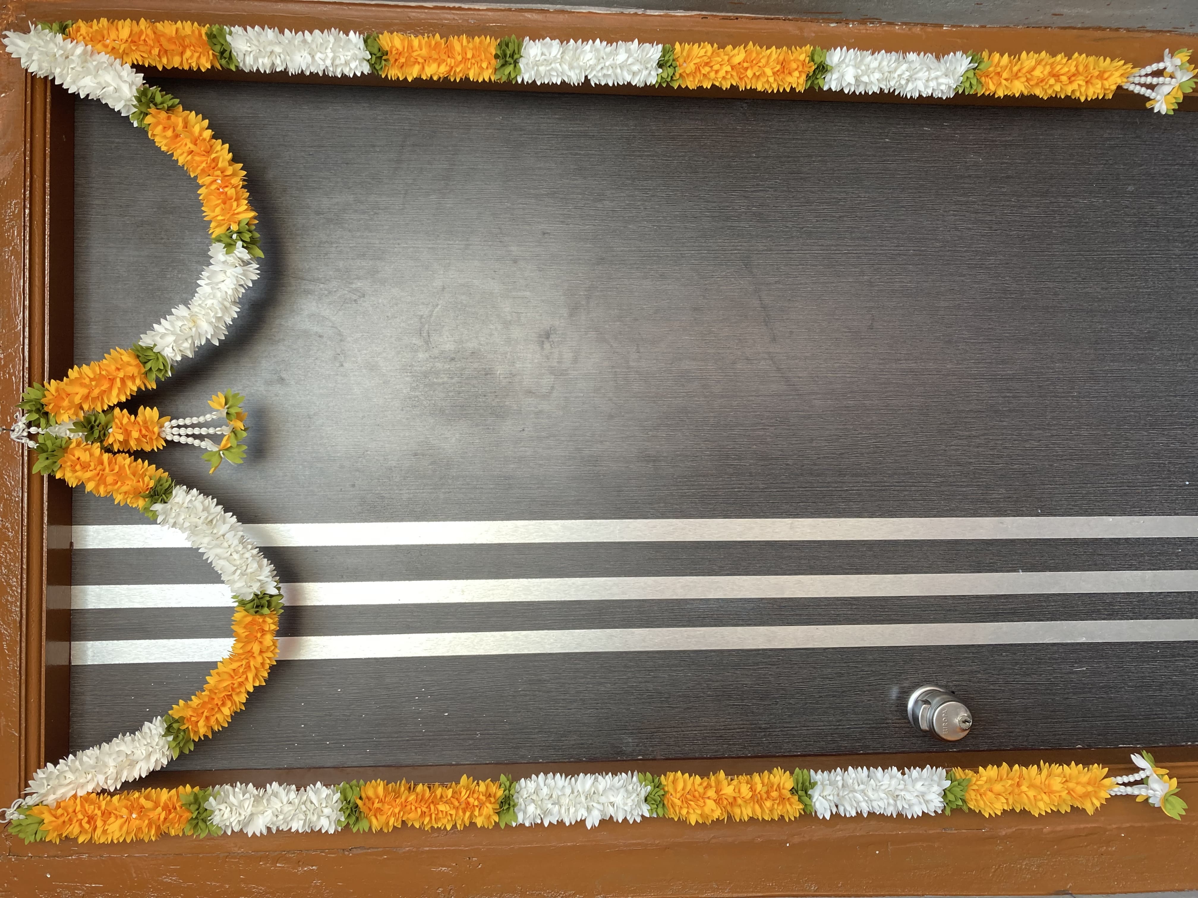 65c5c6ec-04b3-4a01-882d-ba4da16f44c0