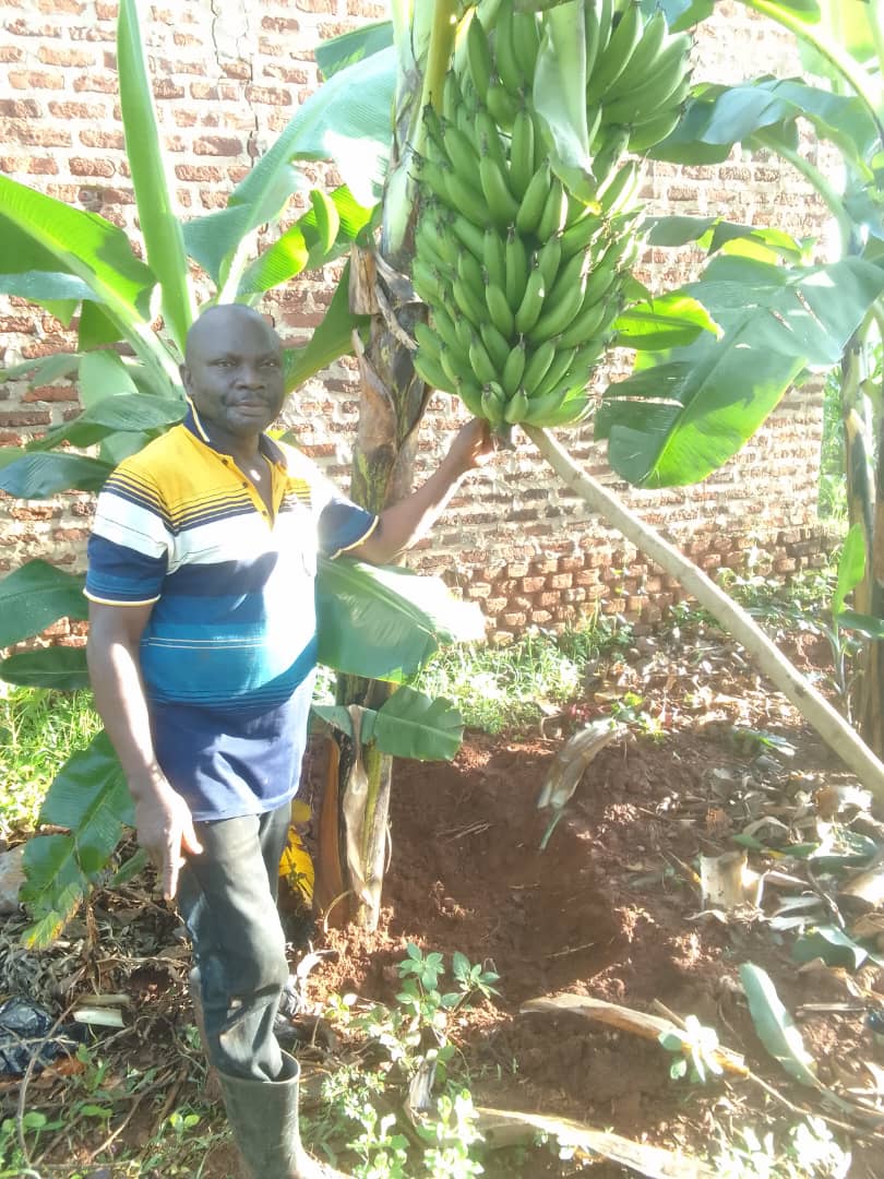 Close up of farmer holding fresh harvest